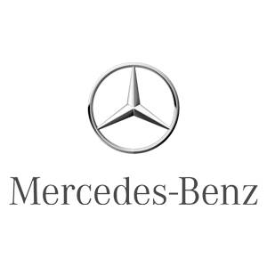 Mercedes Benz LKW passend