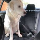 Sicherheitsgurt 2Punkt Auto Hund